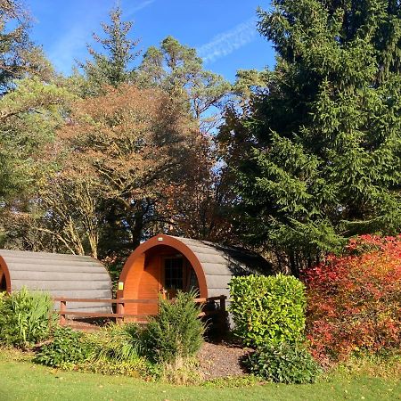 Glamping Hut - By The Way Campsite 틴드럼 외부 사진