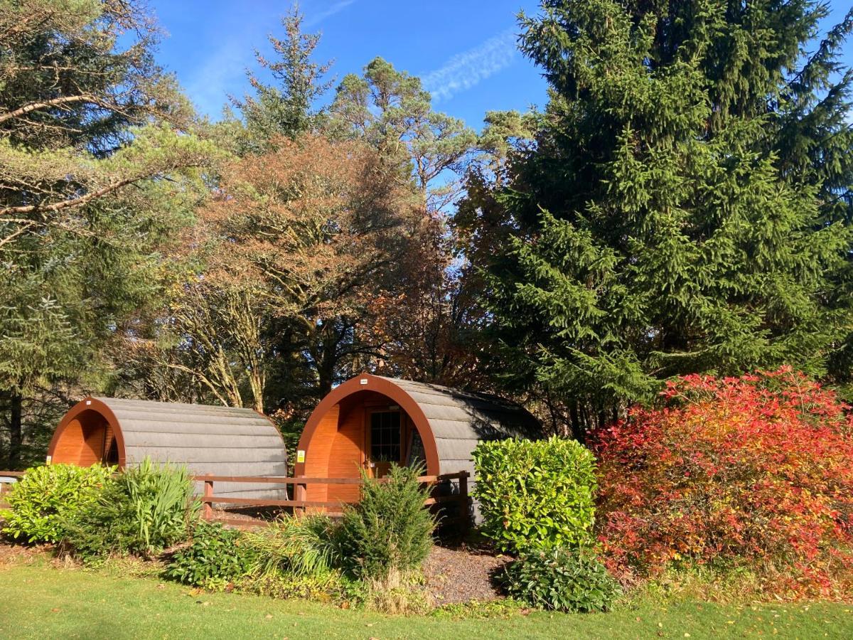 Glamping Hut - By The Way Campsite 틴드럼 외부 사진
